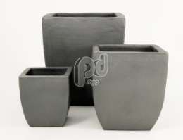 Anthracite Chinook