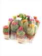 Cactus B stro disco gemengd