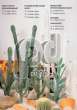 Кактус цереус колонновидный, Мескиканский белый кактус, Перуанский круглостебелевой кактус, Опунция, Эхинокактус