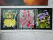 Картина "Орхидеи три-колор"